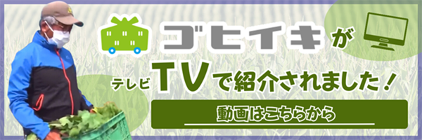 ゴヒイキがテレビで紹介されました！動画はこちらから