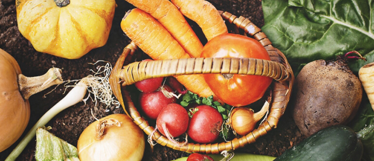 ゴヒイキをはじめましょう！