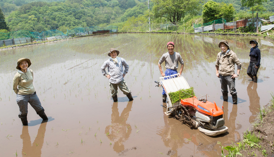 ゴヒイキをはじめましょう！